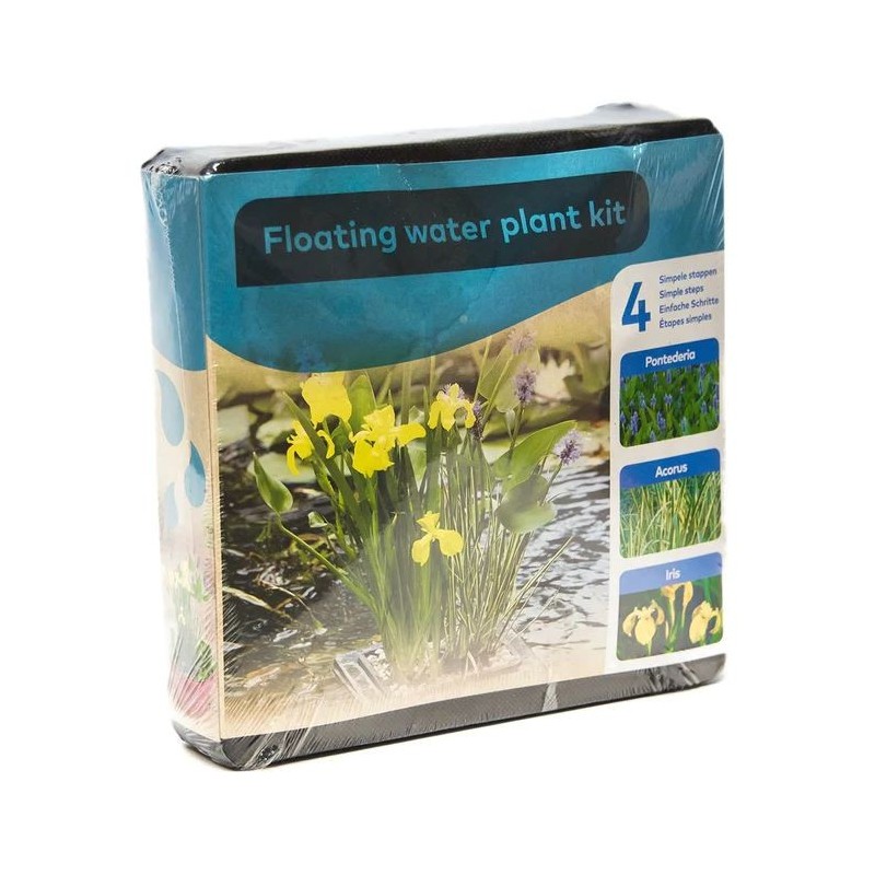 Kit panier flottant carré avec plantes aquatiques de bassin