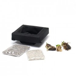 Kit panier flottant carré avec plantes aquatiques de bassin