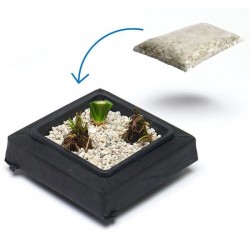 Kit panier flottant carré avec plantes aquatiques de bassin