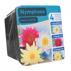 Kit Trio de nénuphars - plante aquatique pour bassin