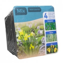 Kit 3 plantes aquatiques pour bassin et fontaine