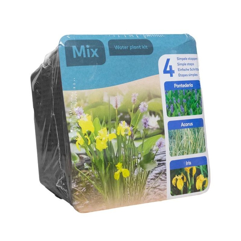 Kit 3 plantes aquatiques pour bassin et fontaine Kit 3 plantes aquatiques pour bassin et fontaine