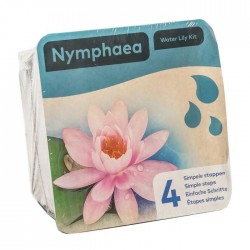 Kit Nénuphar - plante aquatique pour bassin - couleur au choix