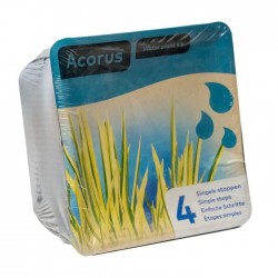 Kit de 2 plantes aquatiques - bassin et fontaine