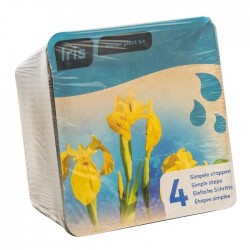 Kit de 2 plantes aquatiques - bassin et fontaine