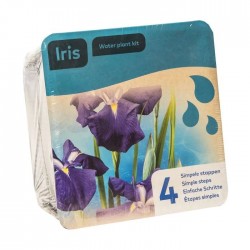 Kit de 2 plantes aquatiques - bassin et fontaine