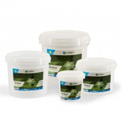 Activateur de bactéries anti-vase - Traitement de bassin Moerings Bio Boost