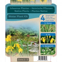 Kit 3 plantes purifiantes pour bassin