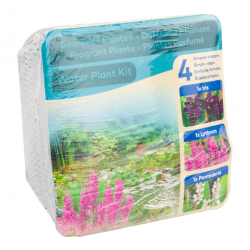 Kit de plantes parfumées pour bassin