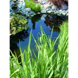 Bâche PVC 0,6mm sur mesure pour bassin de jardin
