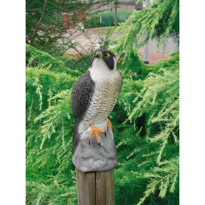 Faucon - Hauteur : 40 cm Faucon - Hauteur : 40 cm