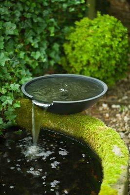 cascade bassin de jardin