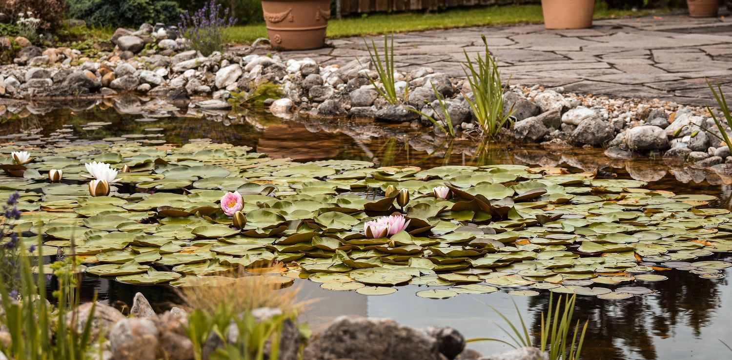 Comment Filtrer un bassin de Jardin ?