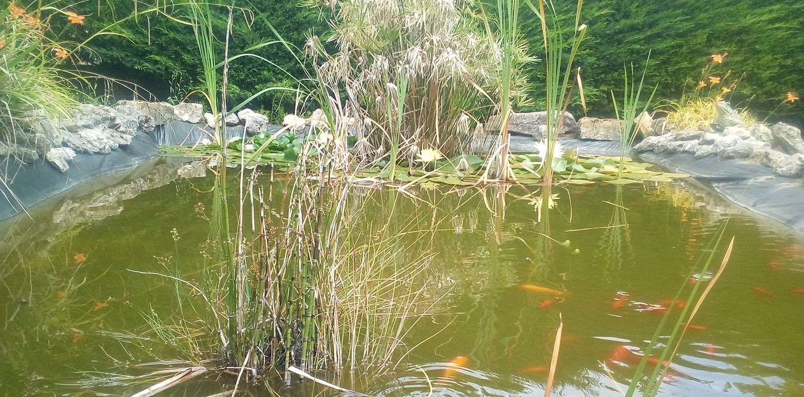 Etang Liner Bâche pour Bassin de Jardin Eau de Jardin Koi Pond