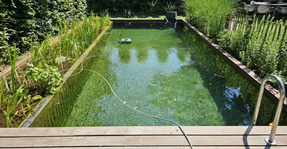 Matériel nécessaire pour l'entretien d'une piscine naturelle