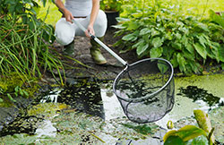 0,2mm Bâche Pour Bassin Jardin, Noir Imperméable à L'eau Bassin Poisson  Jardin Liner, Résistant à La Corrosion Bâche De Bassin, Peut être Utilisé  Pour